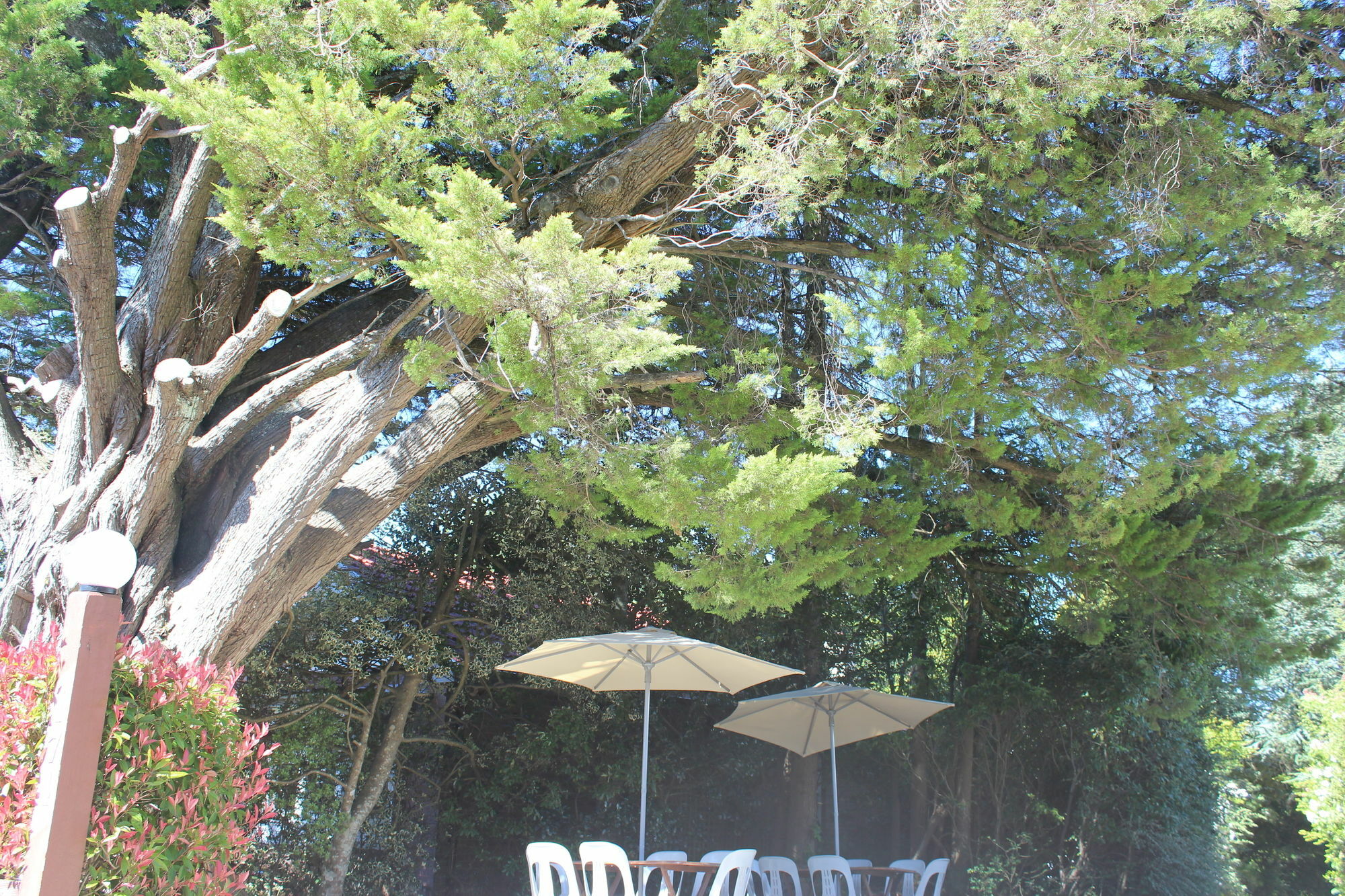 קטומבה Hotel Avonleigh מראה חיצוני תמונה